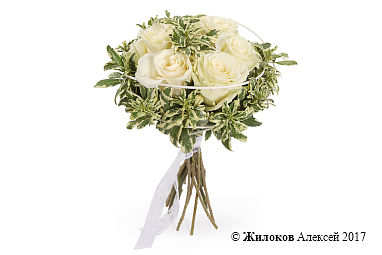 ����� �������� ������