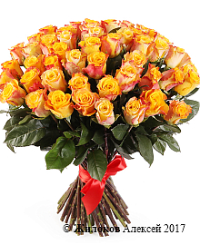 ����� 51 ���� ���� ����