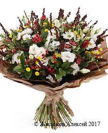 ����� ���������� �������