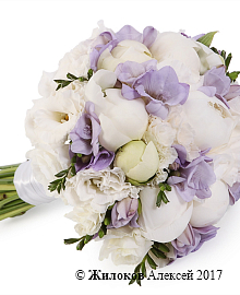 ����� ������� �������