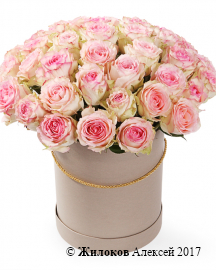 Букет 51 роза Эсперанс в шляпной коробке