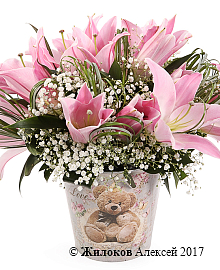 ����� � ������� ������-���������