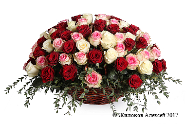 ����� ����, �������, ������ (105 ���)