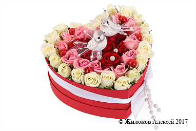 ����� ������ ����� � ������� ������� ������