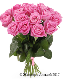 ����� 21 ���� ����