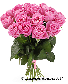 ����� 21 ���� ����