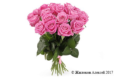 ����� 21 ���� ����