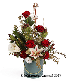 ����� ����-����� � ������� �������