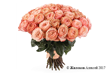 ����� 51 ����������� ���� ������