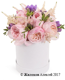 ����� ������ �� ��������� � ������� �������