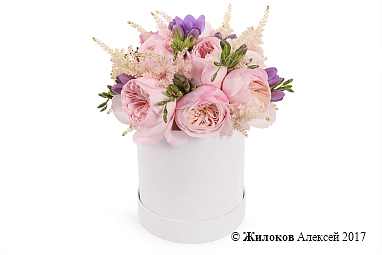 ����� ������ �� ��������� � ������� �������