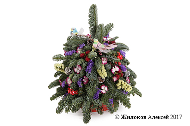 ���������� ���������� ���� � �����