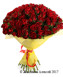 ����� 51 �������� ���� ��������