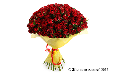 ����� 51 �������� ���� ��������