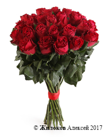 ����� 25 ��� �����