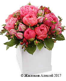 ����� � ������� ��������� � ������� �������