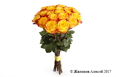 ����� 21 ���� ����� ������