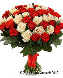 ����� 51 ���� ����