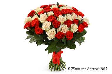 ����� 51 ���� ����