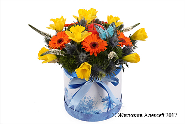 ����� ����� ������� � ������� �������