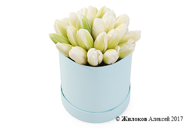 ����� 25 ����������� ��������� � ������� ������� �������, �����