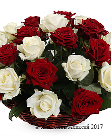 ����� 51 ���� ���� � �������