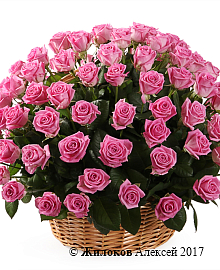 ����� 101 ���� ���� � �������