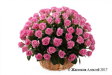 ����� 101 ���� ���� � �������