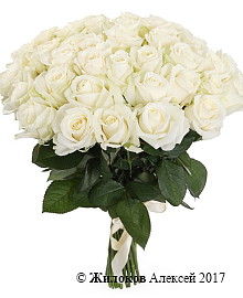 ����� 41 ���� ������� 60/70 ��