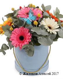 ����� � ��������� �������-�������� � ������� �������