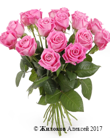 ����� 17 ��� ����