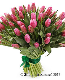 ����� 51 �������, �������