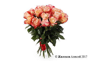 ����� 25 ��� ������