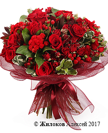 ����� ������ ����� �����