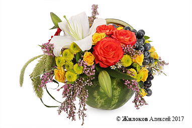 ����� �������� �������