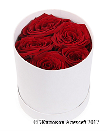 ����� 5 ��� � ������� �������