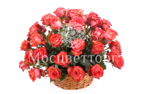 ����� 51 ���� ������ � �������