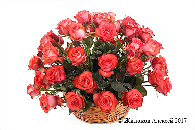 ����� 51 ���� ������ � �������