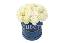 ����� 25 ��� �������� � ������� �������