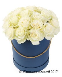 ����� 25 ��� �������� � ������� �������