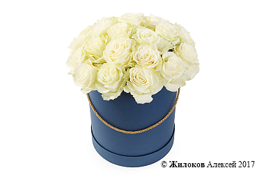 ����� 25 ��� �������� � ������� �������