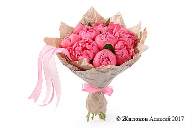 ����� �� ������ �������