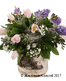 ���������� �������� ����������