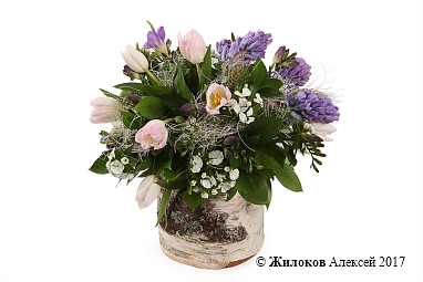 ���������� �������� ����������