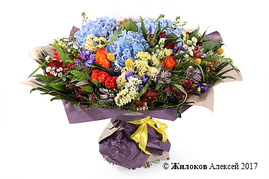 ����� ������ �����