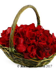 �������� ��� � �������