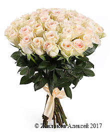 ����� 35 ��� ���������