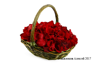 �������� ��� � �������