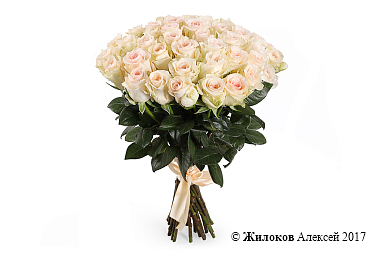 ����� 35 ��� ���������