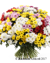 ����� 101 ���������� �������